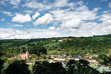 Load image into Gallery viewer, COSTA RICA AQUIARES GRAND PEABERRY