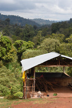 Load image into Gallery viewer, ETHIOPIA URAGA NEJA FADIL WASHED, WEIGHT DRYING EXPERIMENT