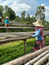 Load image into Gallery viewer, ETHIOPIA ORGANIC KENISSA AGARO, WASHED (EXTENDED FERMENTATION)