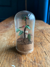 Load image into Gallery viewer, Coffee Shrub Curio