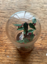 Load image into Gallery viewer, Coffee Shrub Curio
