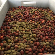 Load image into Gallery viewer, COLOMBIA KOJI PROCESS PINK BOURBON