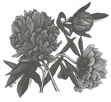 Load image into Gallery viewer, SINGLE ORIGIN ESPRESSO