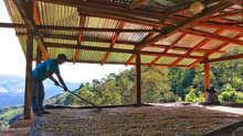 Load image into Gallery viewer, DECAF PERU ORGANIC AMAZONAS SWP
