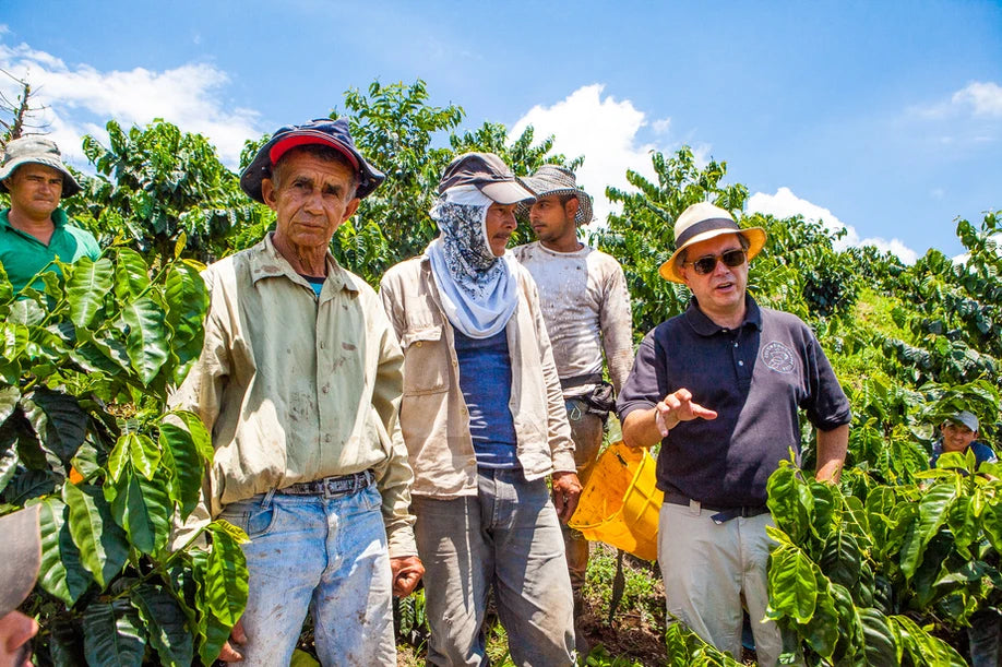 COLOMBIA PINK BOURBON BANANA