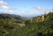 Load image into Gallery viewer, HONDURAS ORGANIC AGUA SARCA DIONICIO BAJURTO
