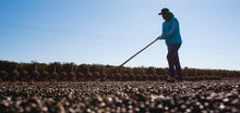 Load image into Gallery viewer, BRAZIL COOPADAP ESTACAO EXPERIMENTAL MICROLOT
