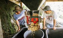 Load image into Gallery viewer, COLOMBIA LA SIERRA ANAEROBIC HONEY

