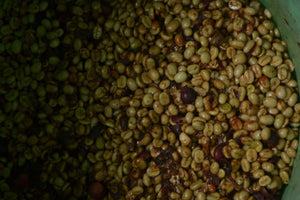 COLOMBIA LA SIERRA ANAEROBIC HONEY