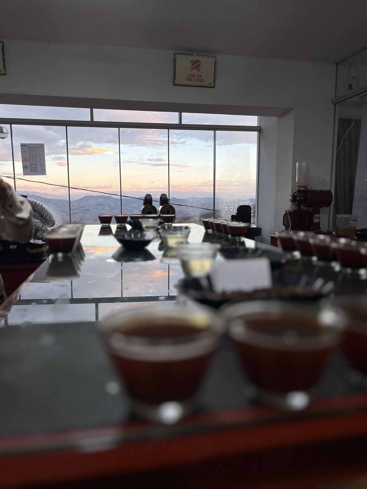 PERU ORGANIC EMERITA CORONEL DELGADO