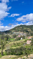 PERU ORGANIC EMERITA CORONEL DELGADO