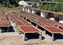 Load image into Gallery viewer, DECAF MEXICO MUXBAL
