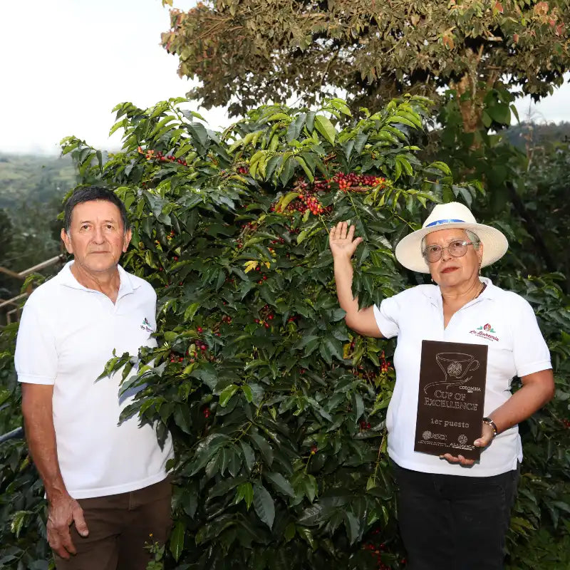 COLOMBIA RAQUEL LASSO COSMIC GESHA