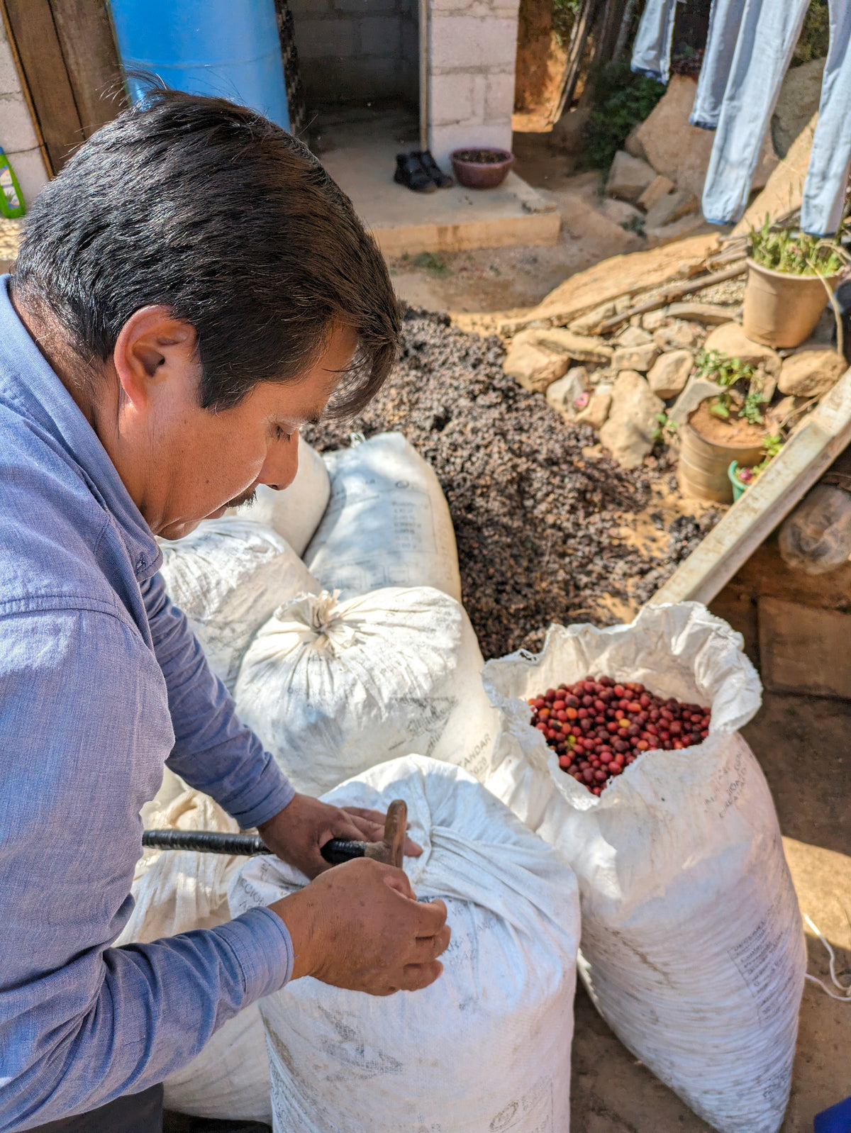 MEXICO ORGANIC SAN ISIDRO LOQUIAPAM