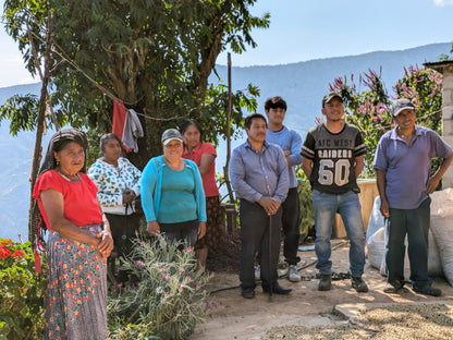 MEXICO ORGANIC SAN ISIDRO LOQUIAPAM