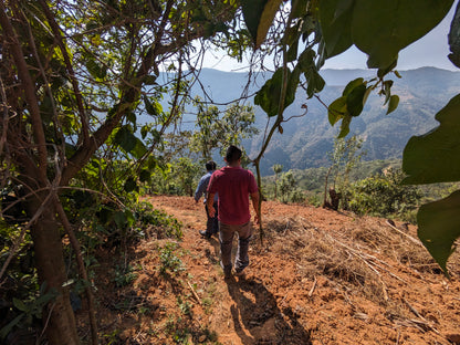 MEXICO ORGANIC SAN ISIDRO LOQUIAPAM