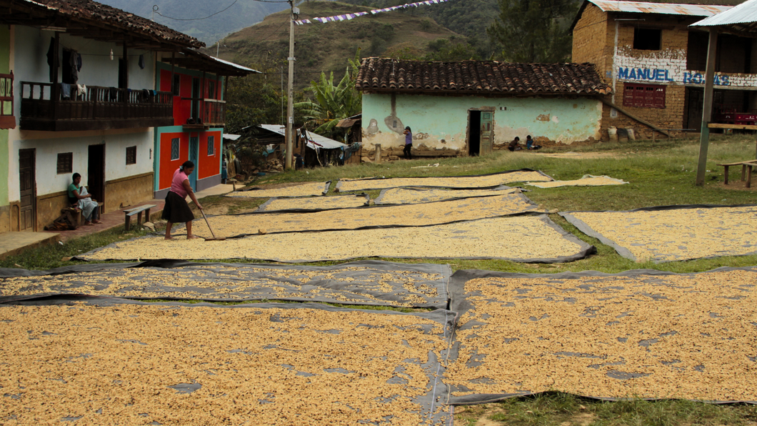 DECAF PERU ORGANIC AMAZONAS SWP