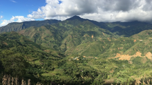 Load image into Gallery viewer, DECAF PERU ORGANIC AMAZONAS SWP
