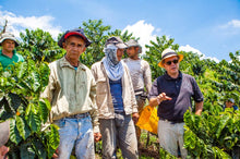 Load image into Gallery viewer, COLOMBIA PINK BOURBON BANANA
